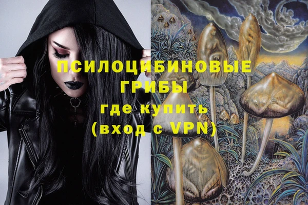 спайс Абаза